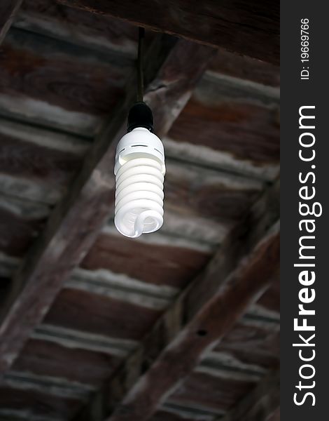 Spiral Light Bulb hanging on Ceiling of a room. Spiral Light Bulb hanging on Ceiling of a room