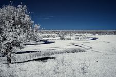 Landscape In The Infrared Royalty Free Stock Photo Landscape In The Infrared Royalty Free Stock Photo