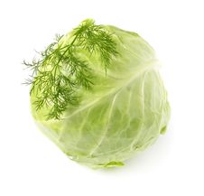 Fresh Cabbage On White Background Royalty Free Stock Photo Fresh Cabbage On White Background Royalty Free Stock Photo
