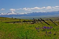 Wildflowers, Fencing, Valley And Mountains Stock Photos