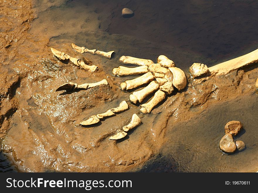 A Replica of dinosaur bones and claws embedded in rock. A Replica of dinosaur bones and claws embedded in rock