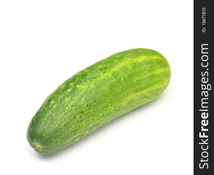 Fresh green Cucumber on a white background