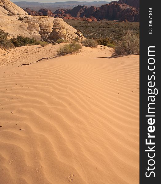 Sand dunes in constant movement, changing shape and moved by the wind. Sand dunes in constant movement, changing shape and moved by the wind