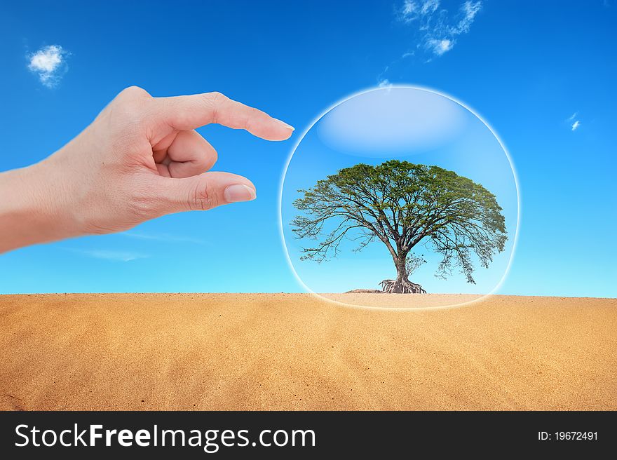 Hand protect  tree in desert