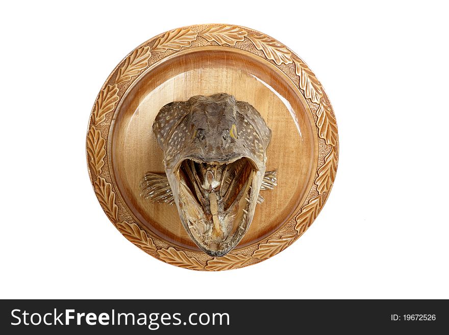 Dried pike head on a round wooden board