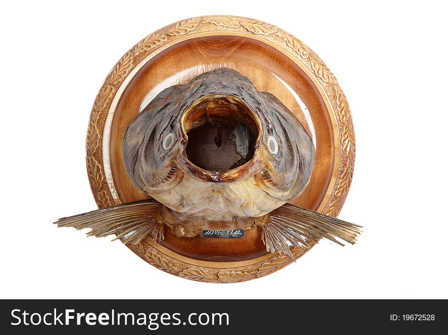 Dried head of a silver carp on a round wooden board