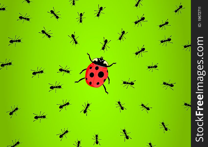 Ants hunt on a ladybird. A  illustration. Ants hunt on a ladybird. A  illustration