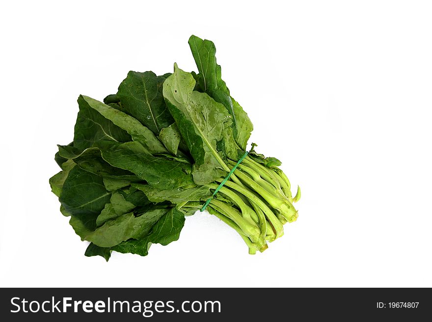 Kailan is a type of Chinese green vegetables