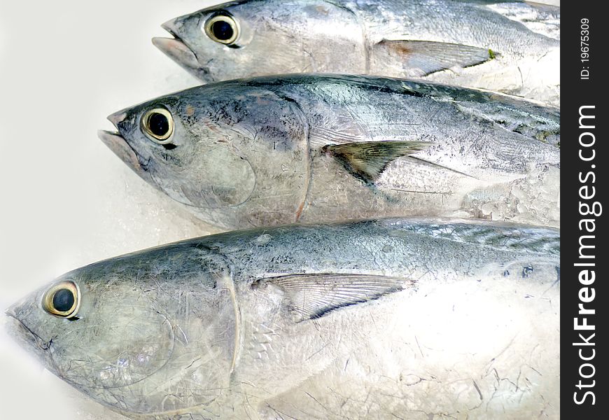 Fresh fish on ice decorated for sale at market in taipei