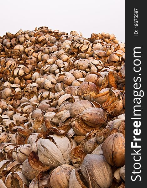 A large number of coconut shells for further use. A large number of coconut shells for further use.