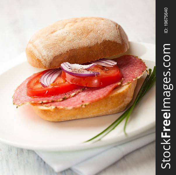 Sandwich with salami,tomato and onion