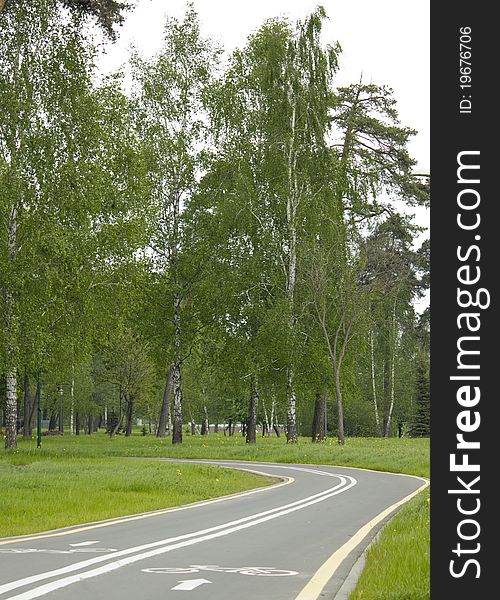 The white line, arrow and symbol used to denote a bicycle lane in the park