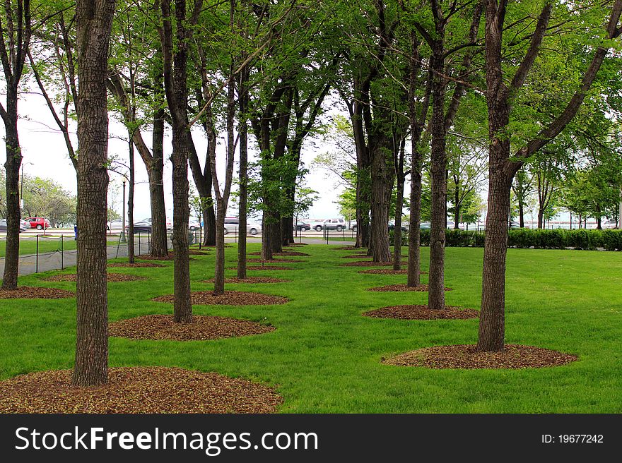 City park with green grass and trees