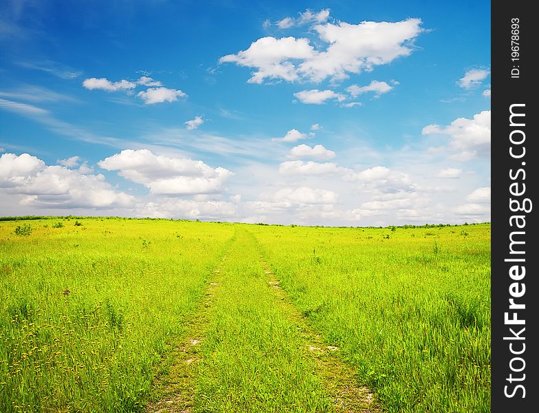 Country road in the fields