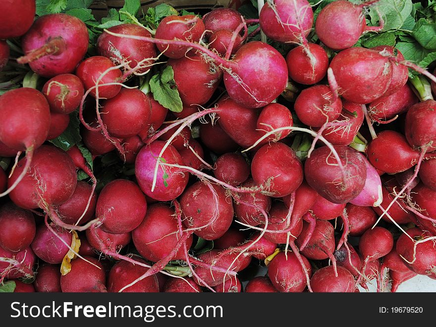 Fresh radishes at a farmer's market