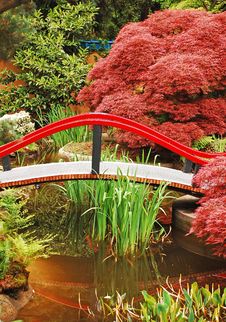 Colorful Japanese Garden Stock Photography Colorful Japanese Garden Stock Photography