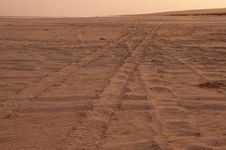 Tyre Tracks Across The Sand At Dusk Stock Images Tyre Tracks Across The Sand At Dusk Stock Images
