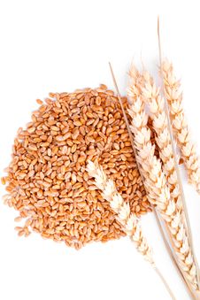 Wheat Grain Royalty Free Stock Image