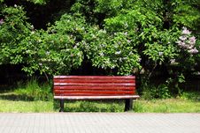 Bench In The Park Royalty Free Stock Photography Bench In The Park Royalty Free Stock Photography