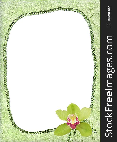 Oval frame with green orchid