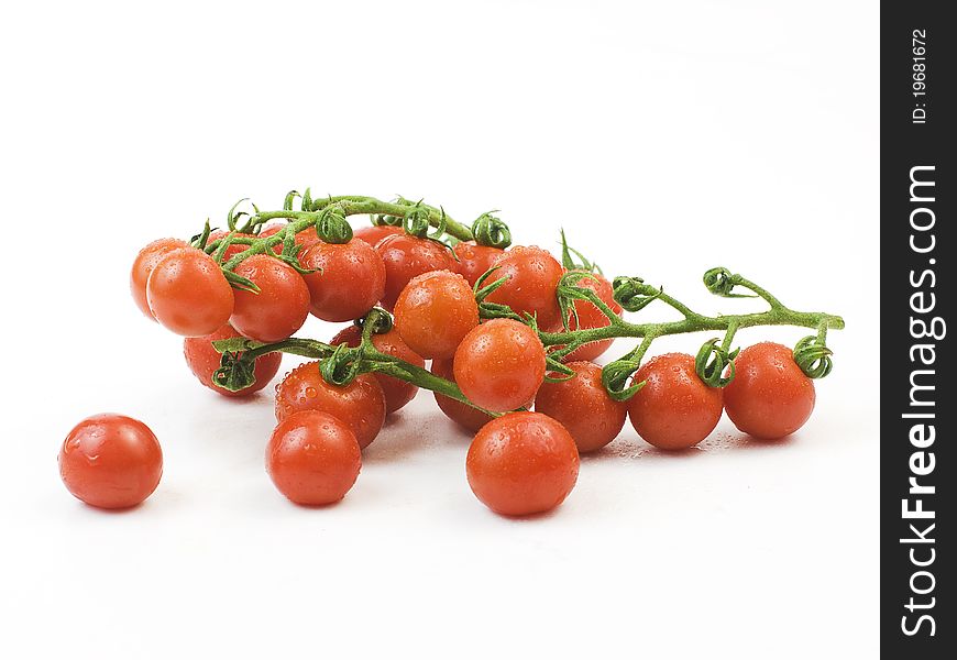 Red tomatoes on white background. Red tomatoes on white background