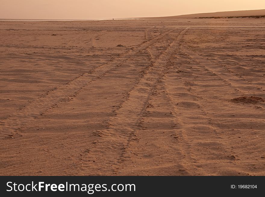 Tyre tracks across the sand at dusk