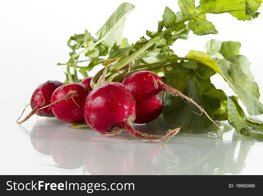 Fresh and biological radish over white background. Fresh and biological radish over white background