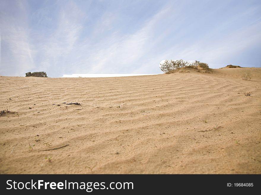 Sand ripples on the dunes