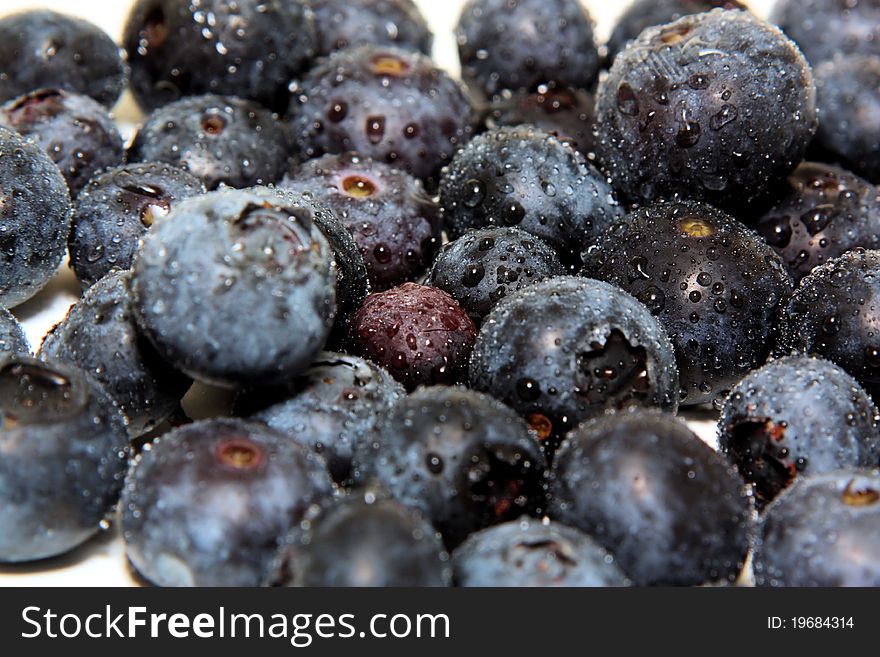 Here you can see fresh blueberries