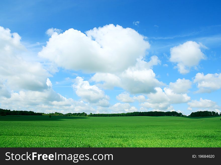 Spring landscape with white clouds