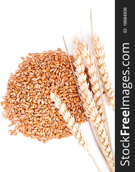 Wheat grain, isolated on a white background