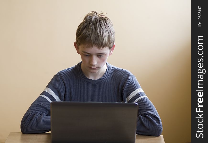 A teenage boy sitting at the computer. A teenage boy sitting at the computer