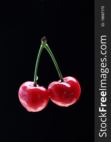 Red cherry on black background.