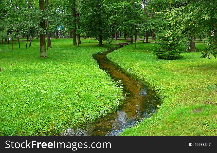 Meandering stream in a green forest