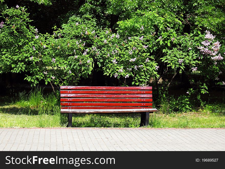Lonely wooden bench in the park