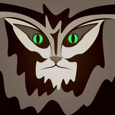 Serious Cat. Stock Image Serious Cat. Stock Image