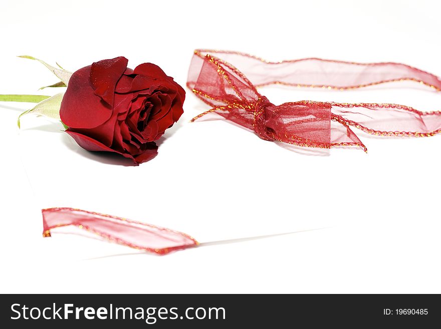 Greeting card with a red rose and ribbon isolated on white background