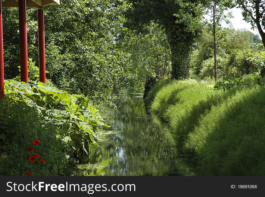 Rich vegetation during the summer in Holland