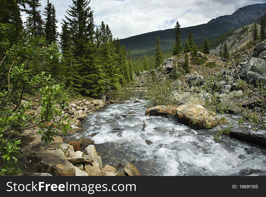 Flowing river between the rocks