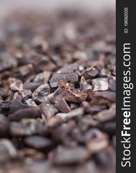 Closeup image of cracked cocoa beans. Closeup image of cracked cocoa beans