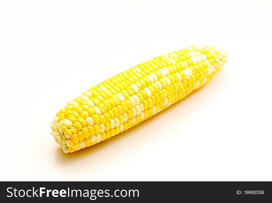 Yellow corn, very fresh and isolated on studio.