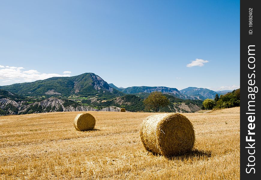 Hay Bales In Provence, France