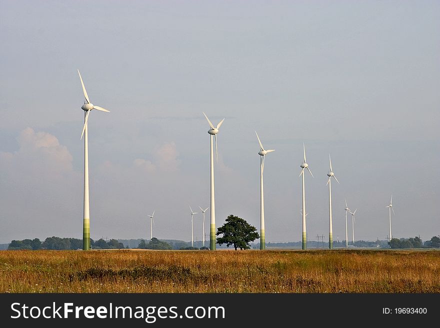 Wind turbines in the field. Wind turbines in the field.