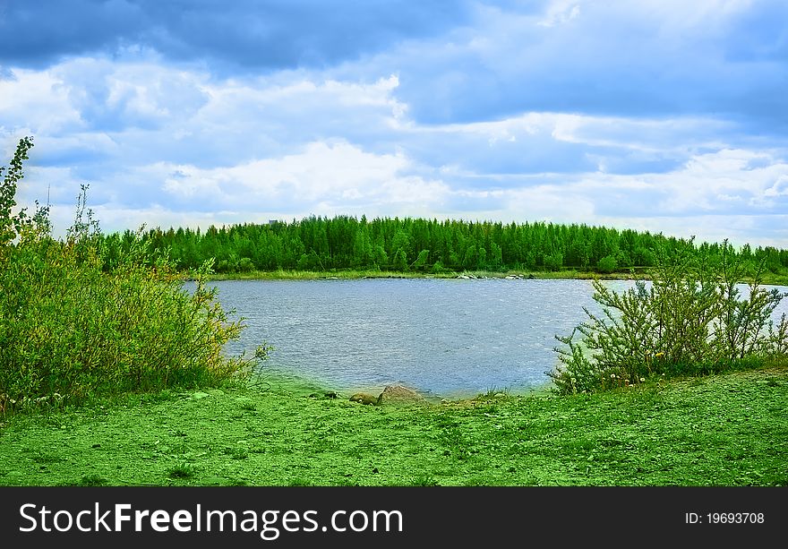 Beautiful landscape with trees and water
