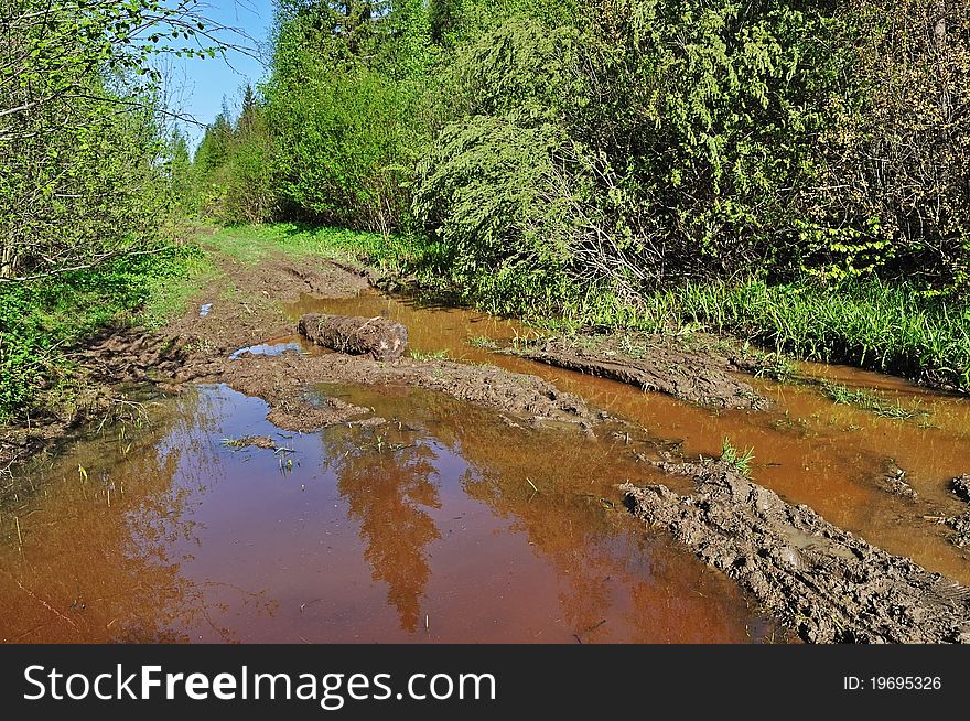 Mud puddle on a forest road in spring time, Russia