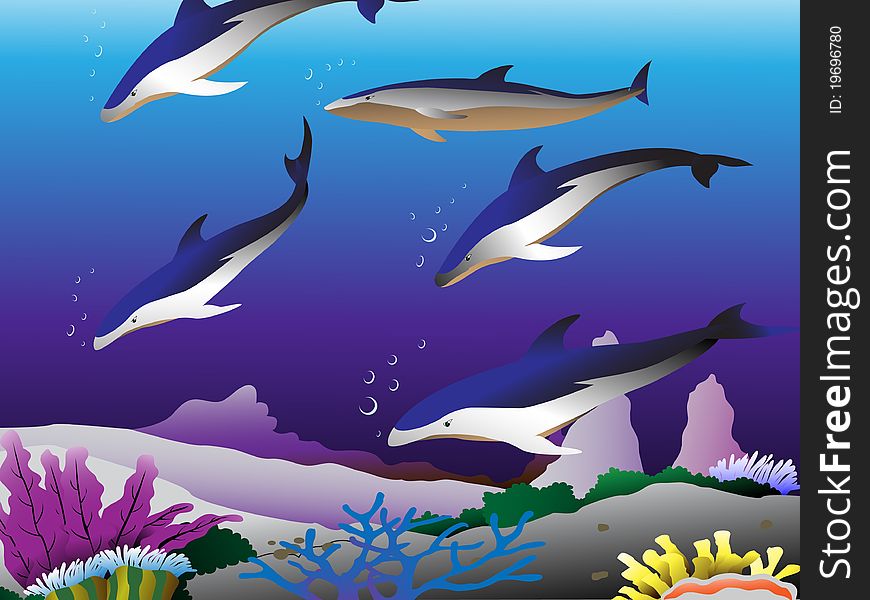 Illustration of the five dolphin in the blue sea floor. Illustration of the five dolphin in the blue sea floor