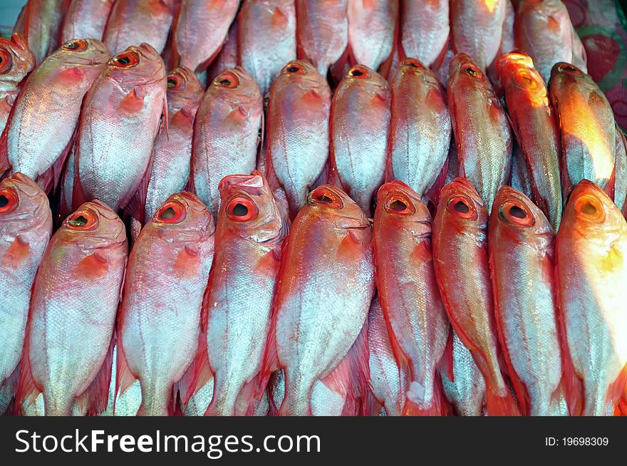 Image of Red Bigeye Fish (Priacanthus tayenus). Image of Red Bigeye Fish (Priacanthus tayenus)
