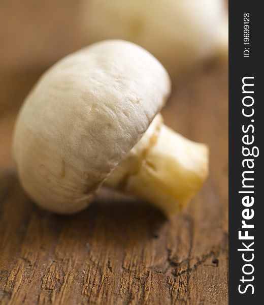Mushroom, Shallow Focus