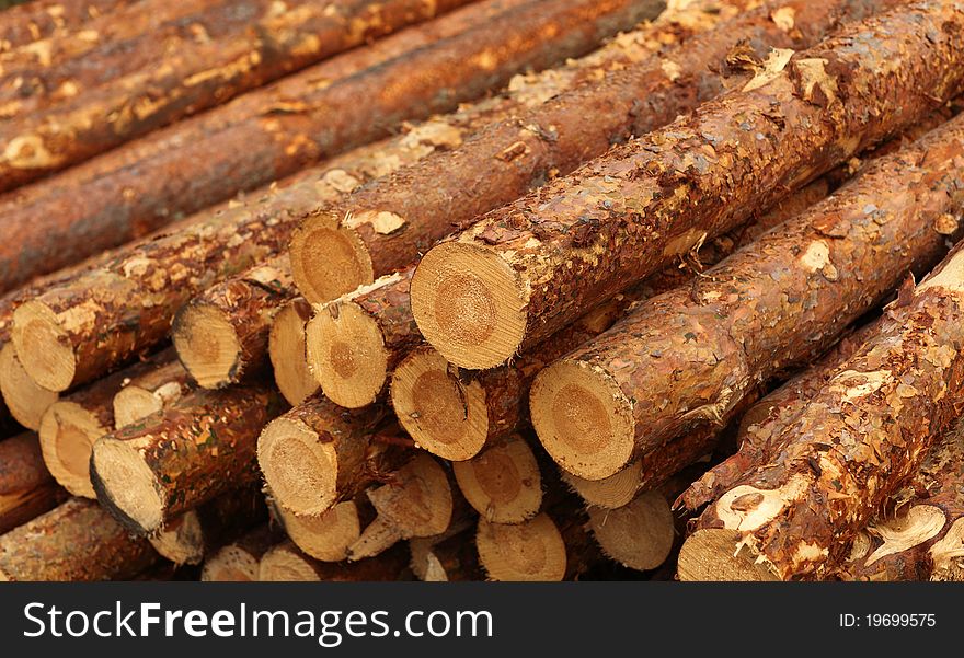 Heap of logs; wooden natural background