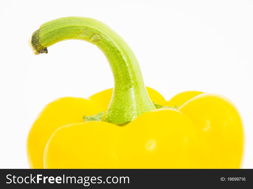 Yellow pepper on white background